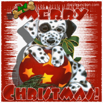 Dalmation Christmas1 image
