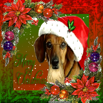 Dog Cute Christmas image
