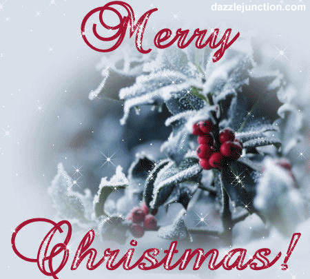Merry Christmas Berry image