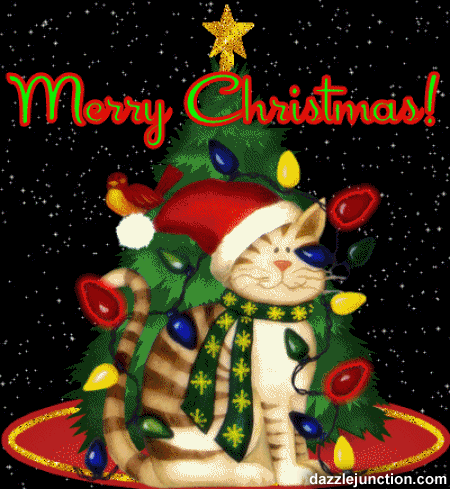 Merry Christmas Cat