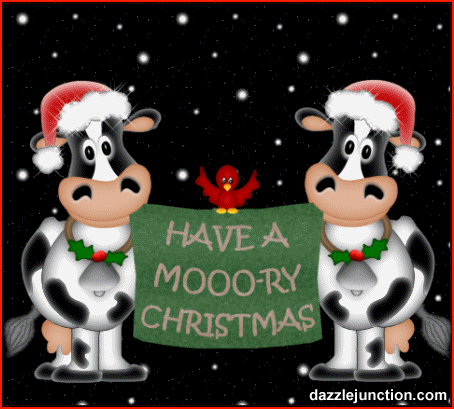 Mooory Christmas Cows Merry Christmas image