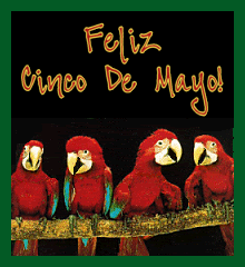Cinco de Mayo Parrots image
