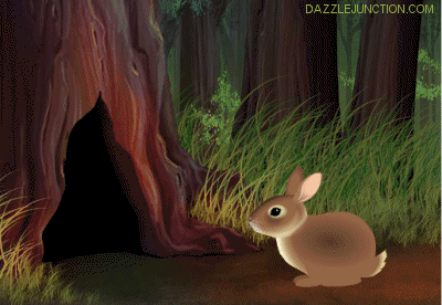 Bunny Hole