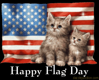 Flag Day Cats image