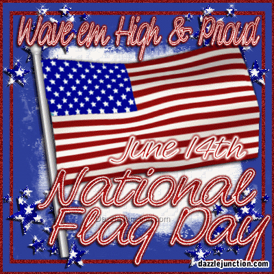 Wave High Proud Flag Day image
