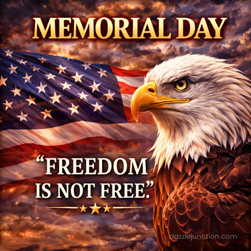 Eagle Freedom Not Free Memorial Day image