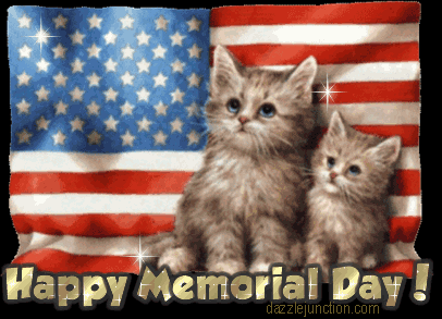 Memorial Day Cats image
