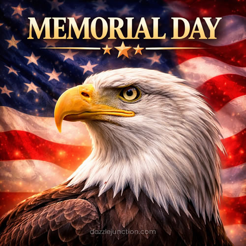 Memorial Day Eagle Star image