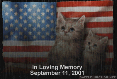 Loving Memory Cat Patriot Day image