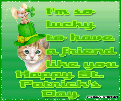 Lucky Friend Cat