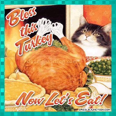 Cat Bless Turkey