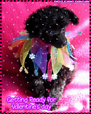 Getting Ready Valentine Animals image