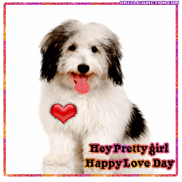 Hey Pretty Girl Valentine Animals image