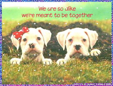 Meant To Be Valentine Animals image
