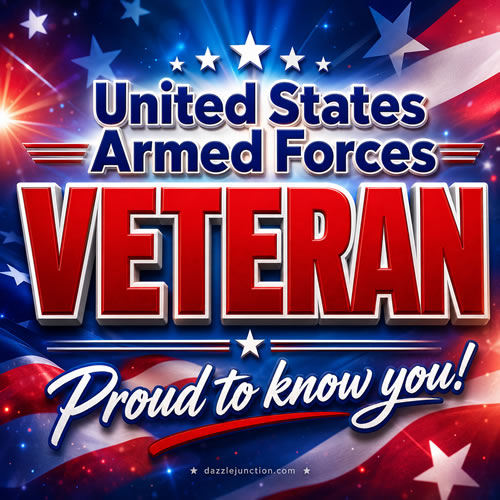 United States Armed Forces Veteran Veterans Day image
