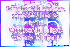 We Never Fell Love