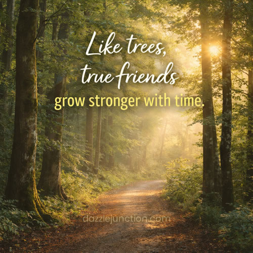 Stronger With Time Friendship image