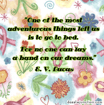 Adventurous Dreams