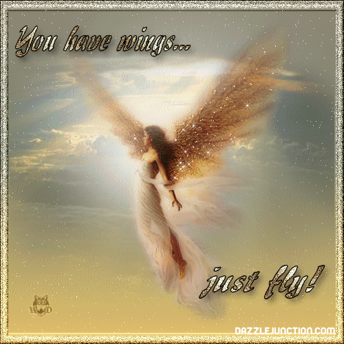 Have Wings Just Fly