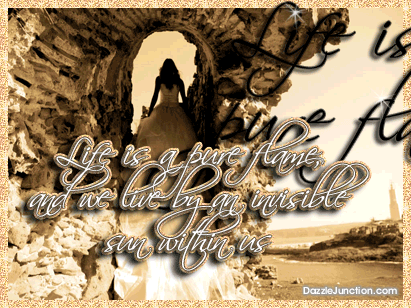 Life Pure Flame