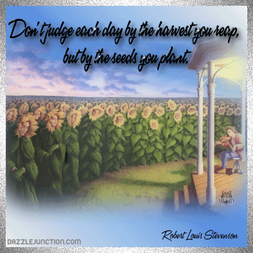 Seeds You Plant Inspirational image