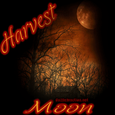Harvest Moon Autumn, Fall image