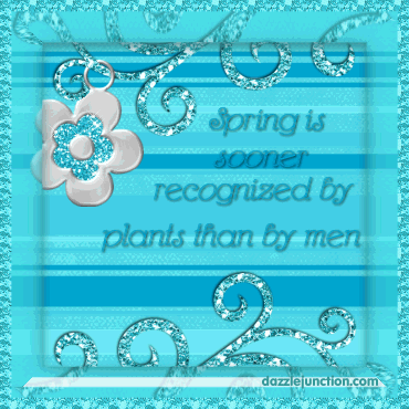 1plants Spring image