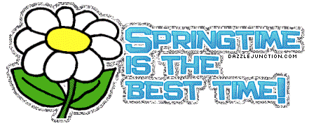 Best Time Spring image