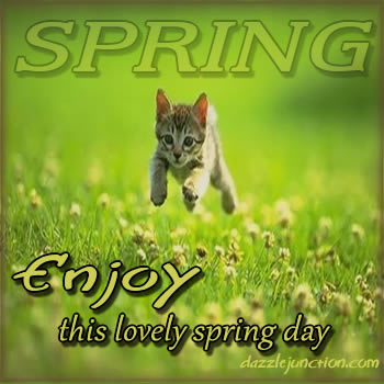 Cat Lovely Spring image