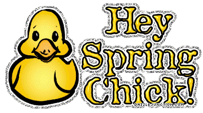 Hey Spring Chick