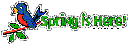 Spring Here Bird