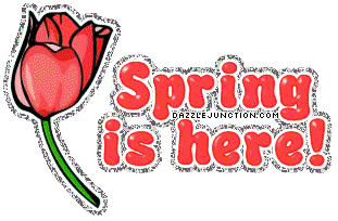 Spring Here Flower