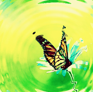 Butterfly Summer image
