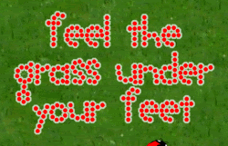 Lady Bug Grass Summer image
