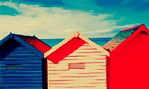 Roofscape Summer image