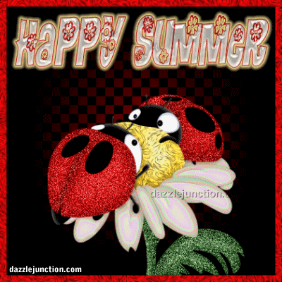 Summer Ladybug image