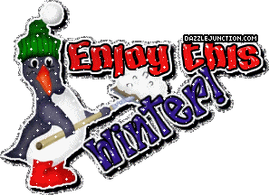 Penguin Winter image