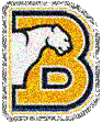 Birmingham Southern Panther
