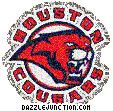 Houston Cougars