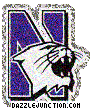 Northwestern Wildcats