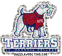 St Francis Terriers