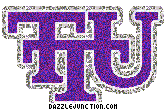 Tennessee Tech Golden Eagle