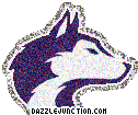 Washington Huskies NCAA College Logos image