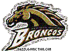 Western Michigan Broncos NCAA College Logos image