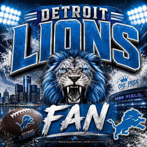 Detroit Lions Fan NFL Fans image