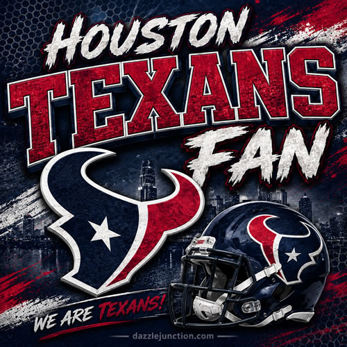Houston Texans Fan