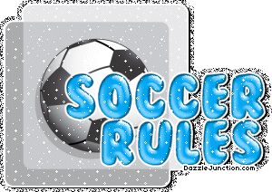 Soccer Rules Glitter Sports image