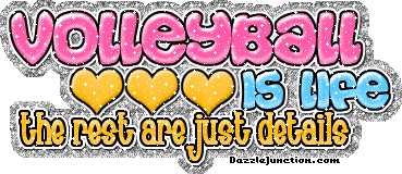Volleyball Life Glitter Sports image