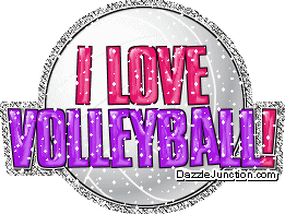 Volleyball Glitter Sports image