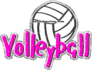 Volleyball Glitter Sports image